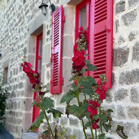Auverg'nature, Myrtilles Bed & Breakfast Espinasse (Puy-de-Dome)
